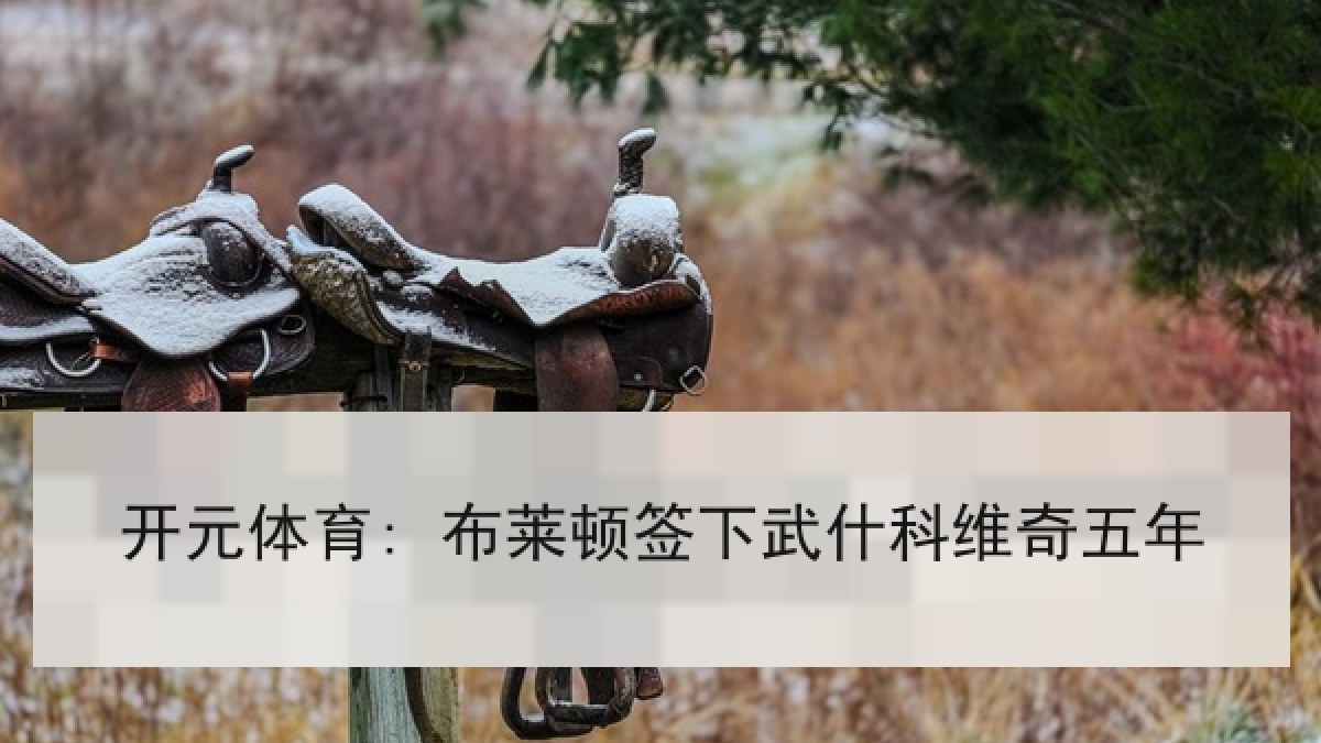 开元体育: 布莱顿签下武什科维奇五年 开元体育: 布莱顿签下武什科维奇五年